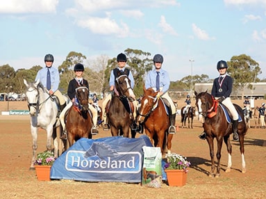 gumdale horse and pony club image